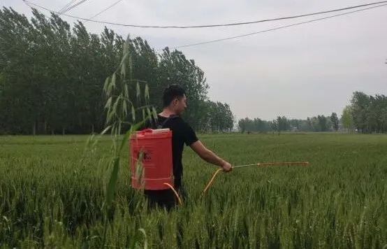 葡京娱乐城