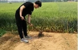 葡京娱乐城