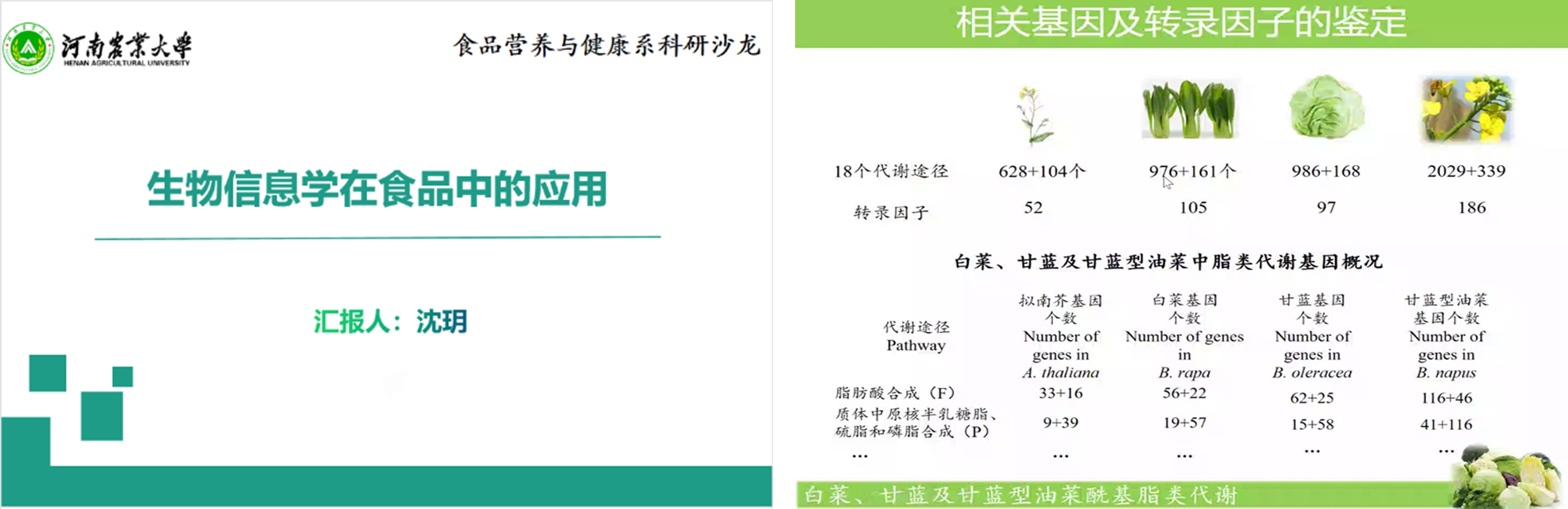 葡京娱乐城