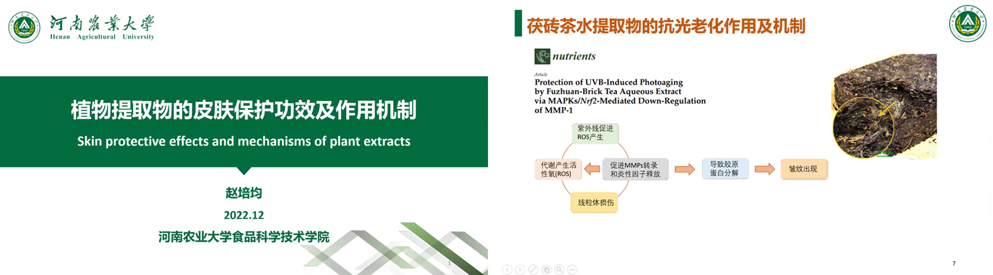 葡京娱乐城