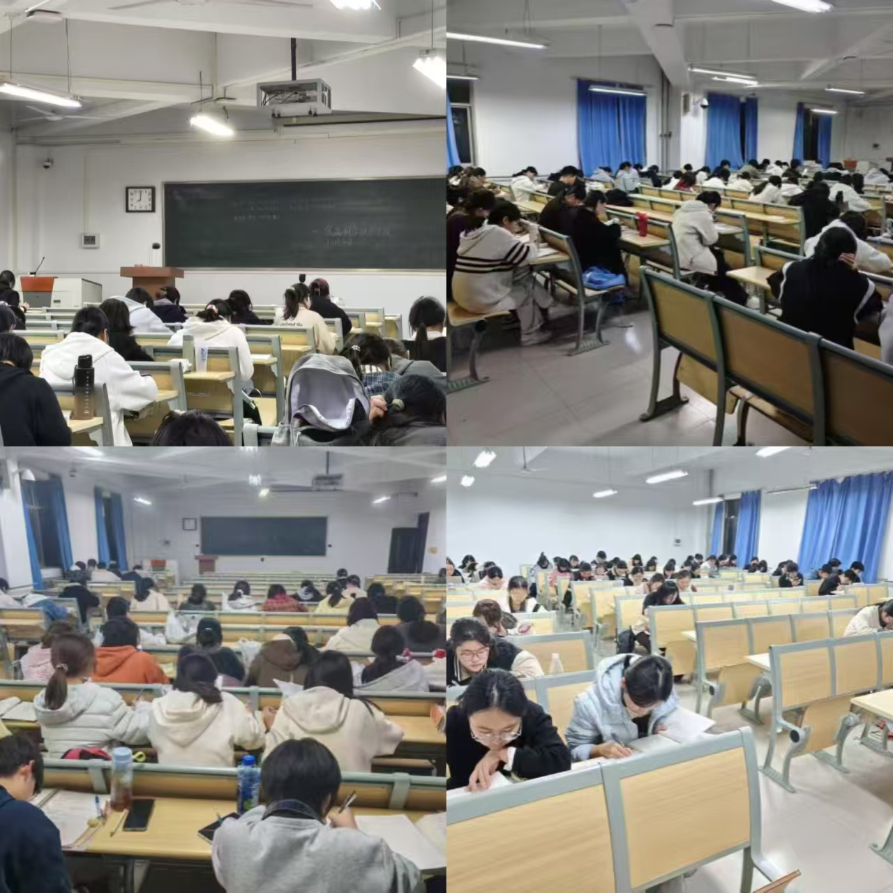 �Ͼ����ֳ�