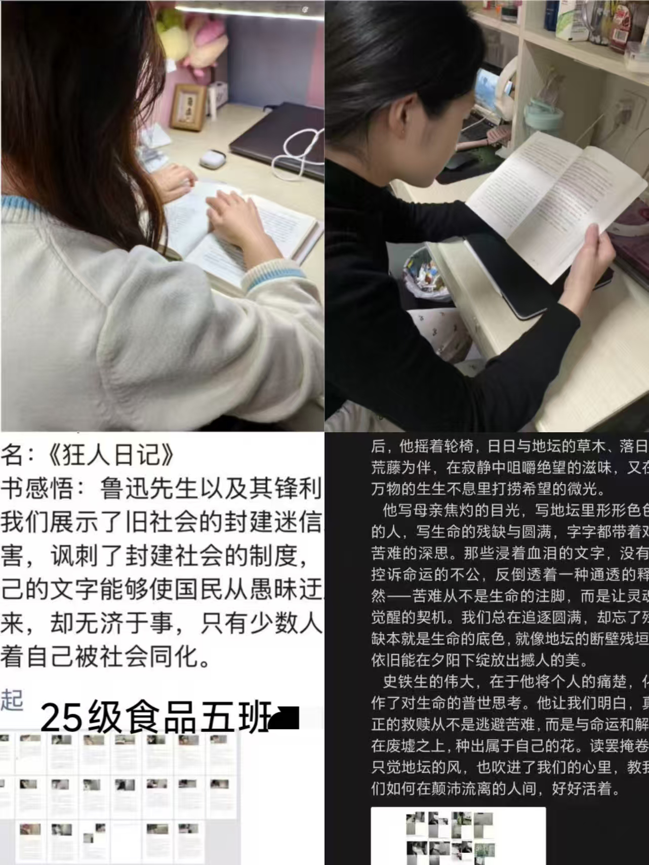 �Ͼ����ֳ�