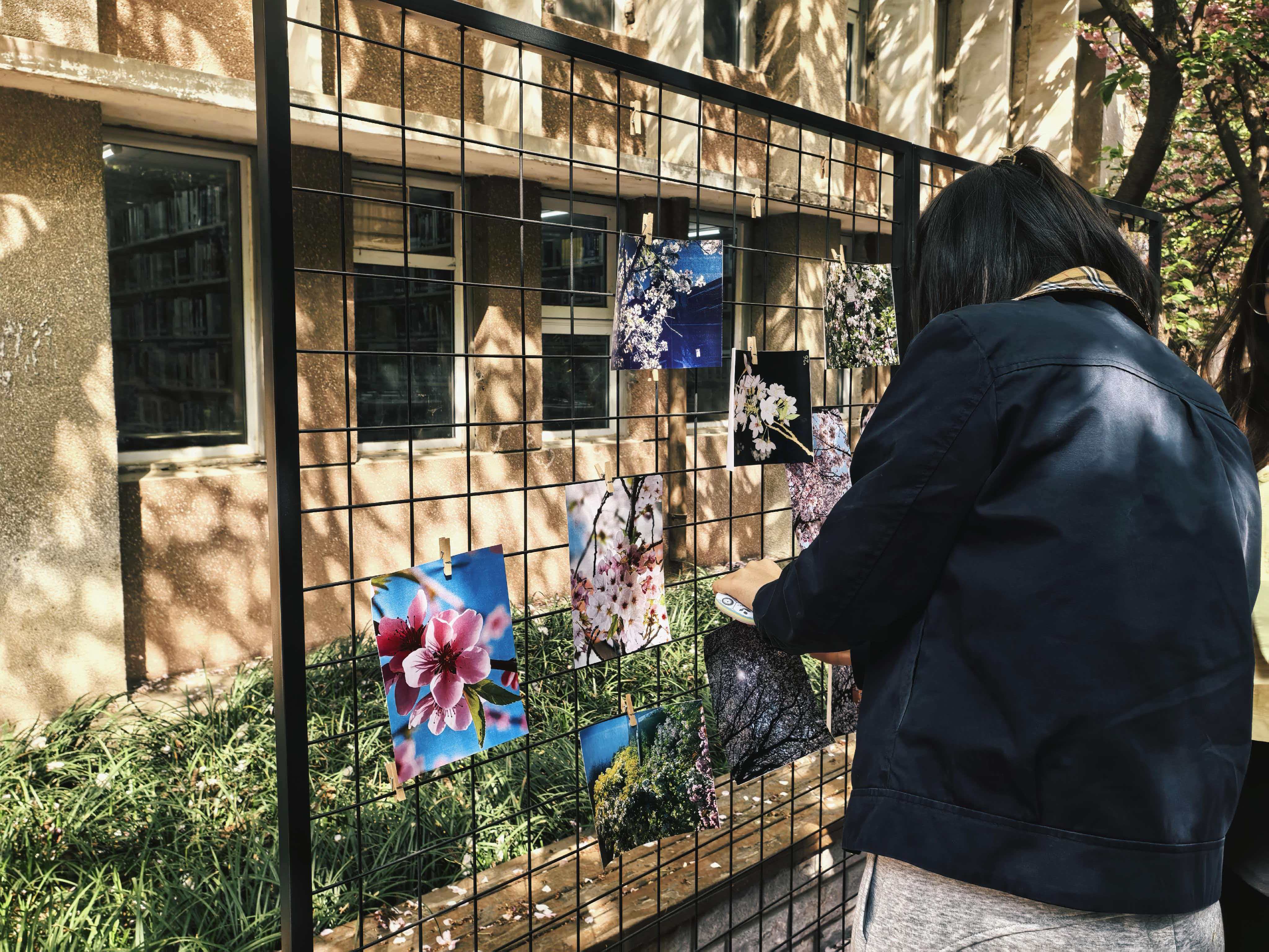 �Ͼ����ֳ�