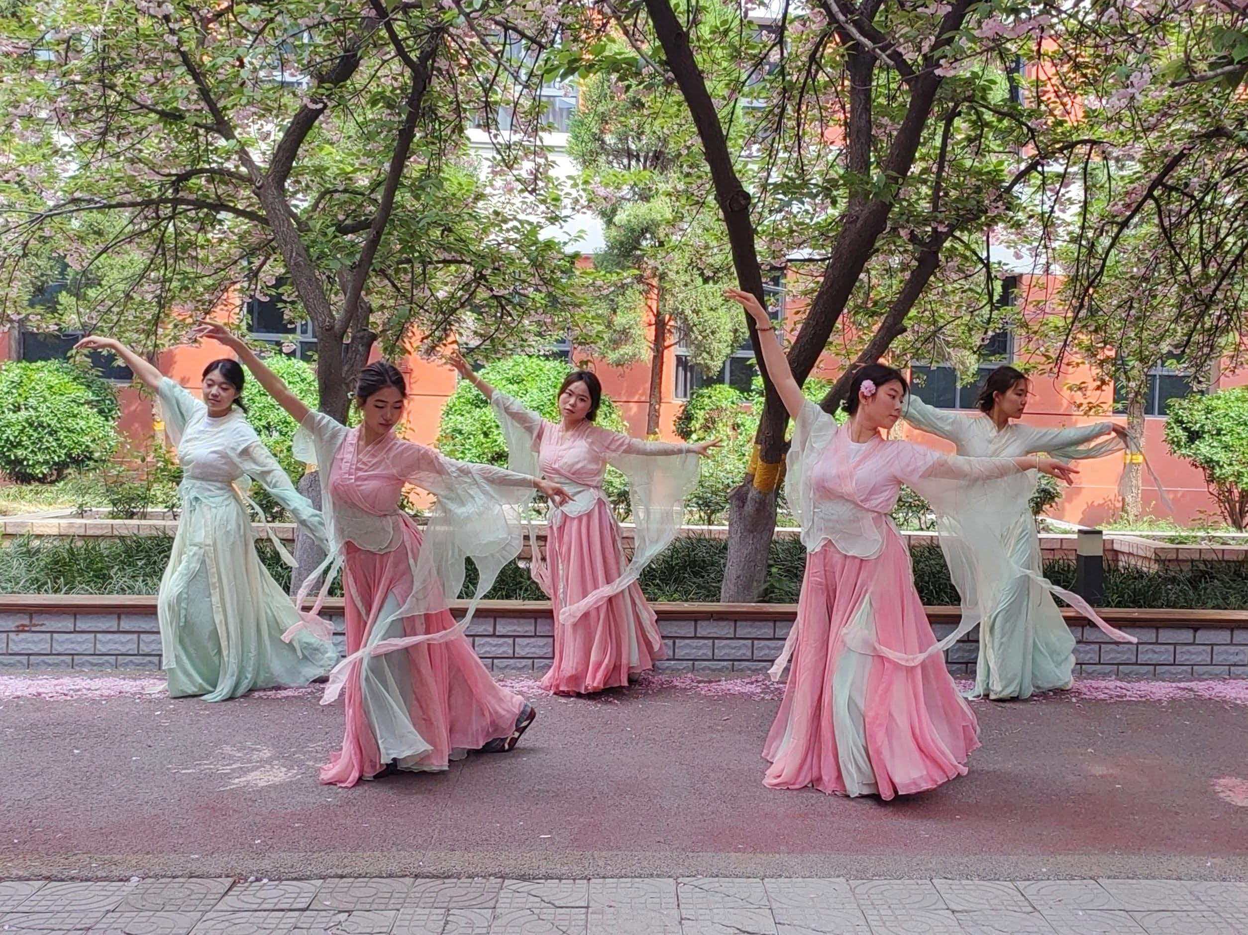 �Ͼ����ֳ�