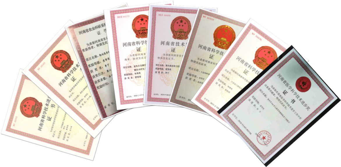 葡京娱乐城