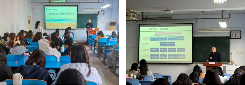 �Ͼ����ֳ�